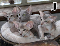 Jane, Jodie, Jumanji, Jessie