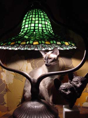 Bagus with tiffany lamp and a Gerdy Oskam figurine