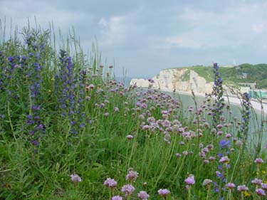 de krijtrotsen van Etretat, Frankrijk