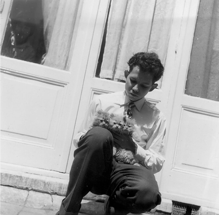 Harry met Perzische kittens in 1958