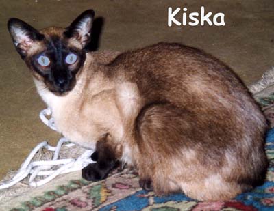 laatste foto van Kiska