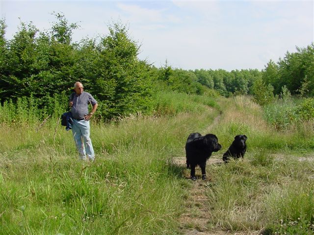 In het Balijbos