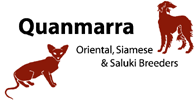 Quanmarra Cattery
